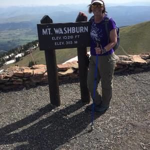 Meet your Posher, Ellen